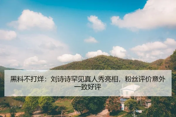 黑料不打烊：刘诗诗罕见真人秀亮相，粉丝评价意外一致好评